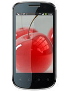 Best available price of Celkon A19 in Ecuador