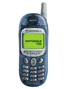 Best available price of Motorola T190 in Ecuador