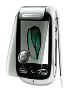Best available price of Motorola A1200 in Ecuador