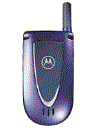 Best available price of Motorola V66i in Ecuador