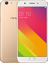 Best available price of Oppo A59 in Ecuador